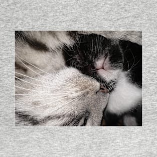 Love mum cat and baby cat T-Shirt